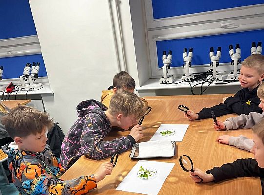 Aktywne Ferie w mieście Puck 2026