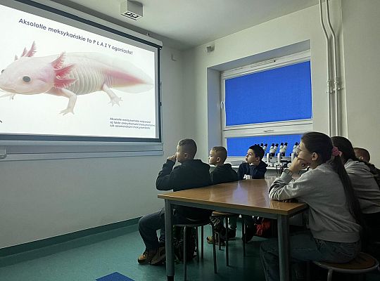 Aktywne Ferie w mieście Puck 2026