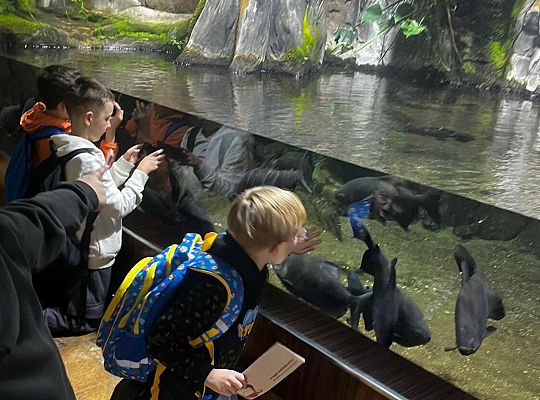 Aktywne Ferie w mieście Puck 2026